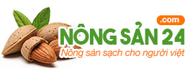 Mẫu web bán hàng đẹp